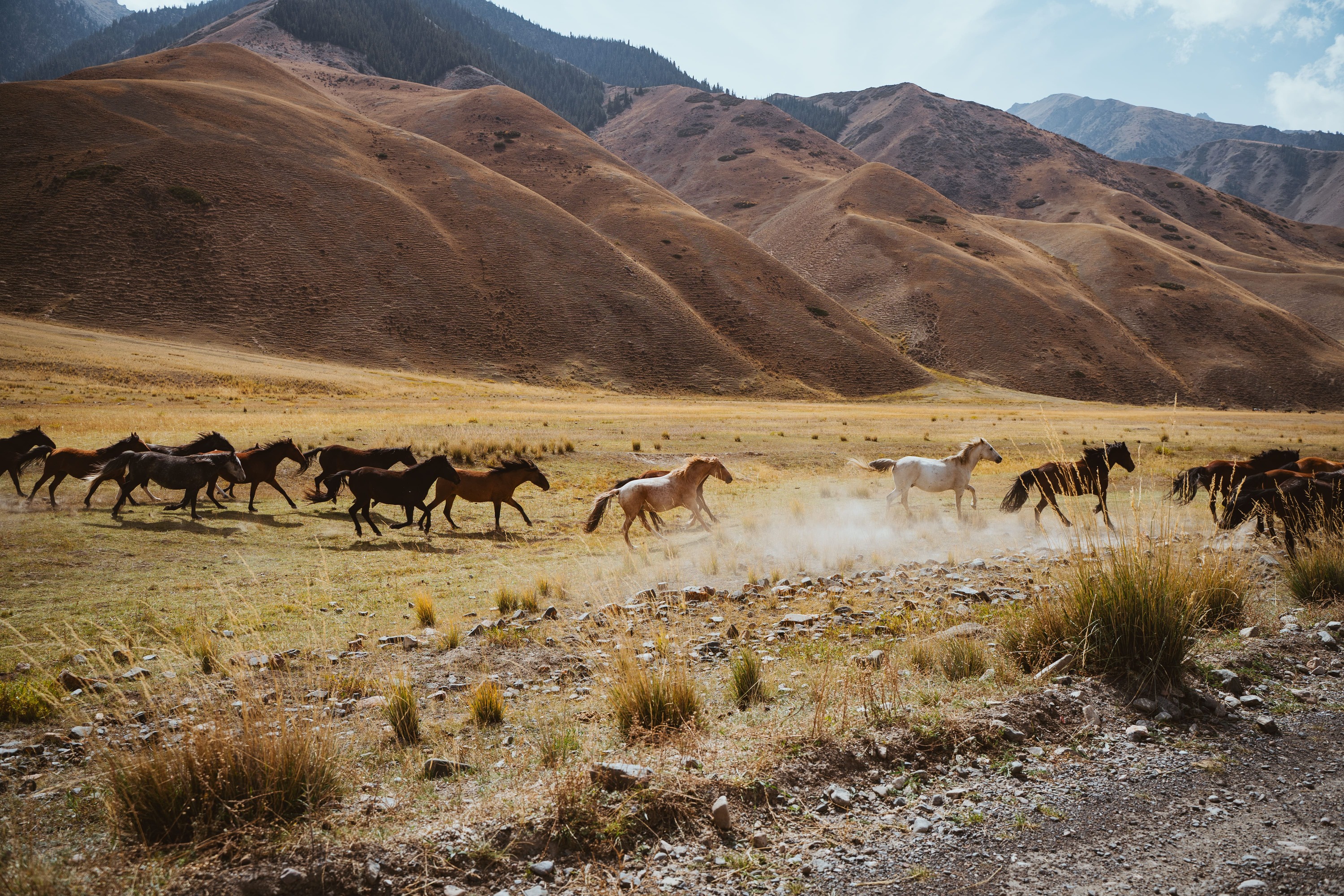 Landscape Photo 6